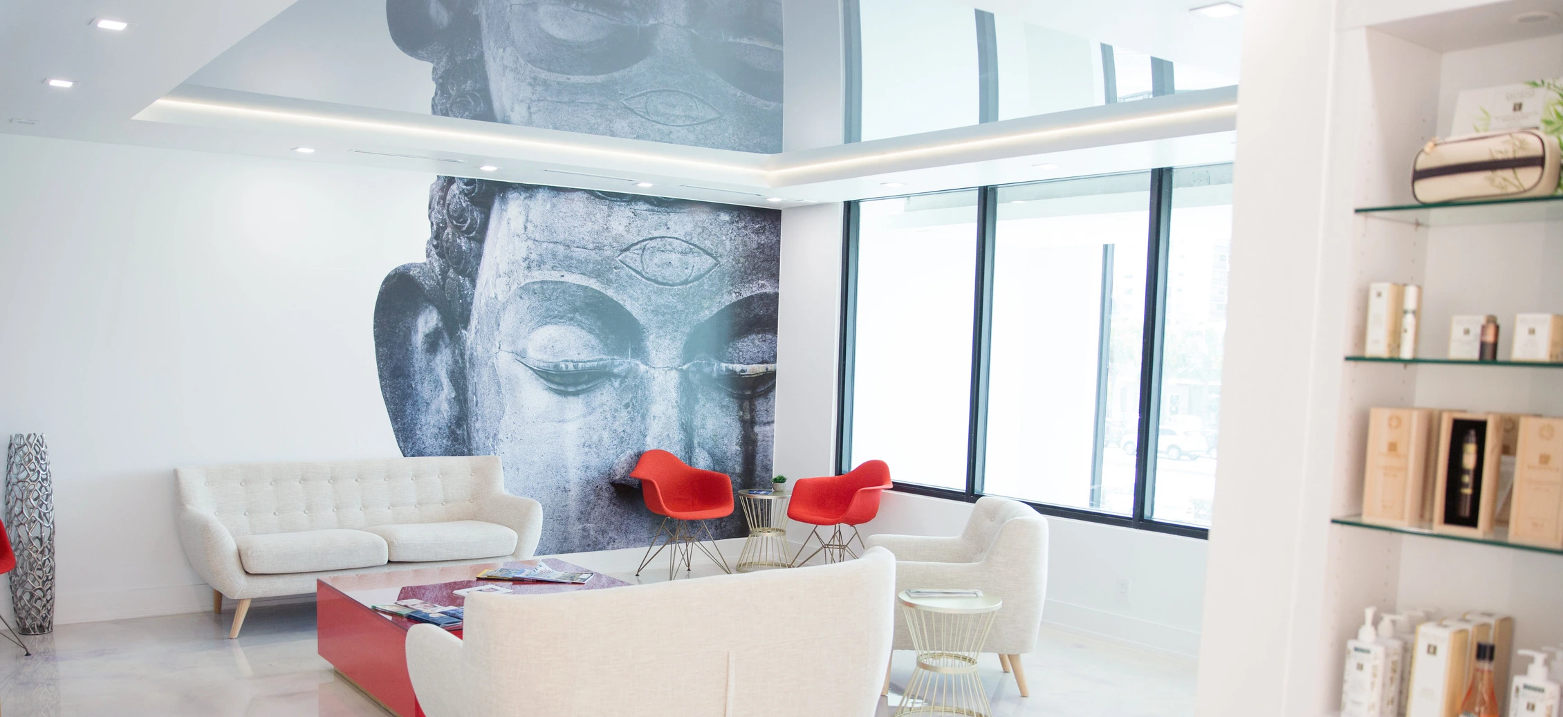 MedSpa Membership | The MedSpa Society